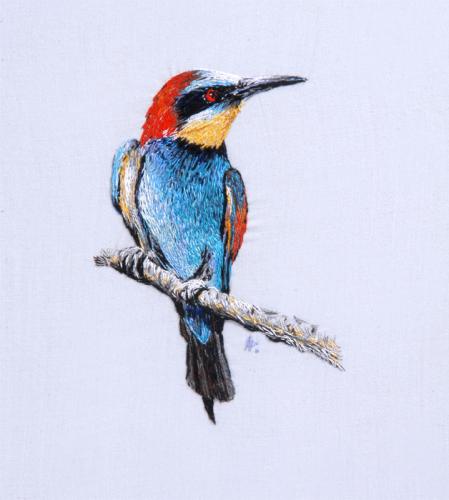 kingfisher Bird